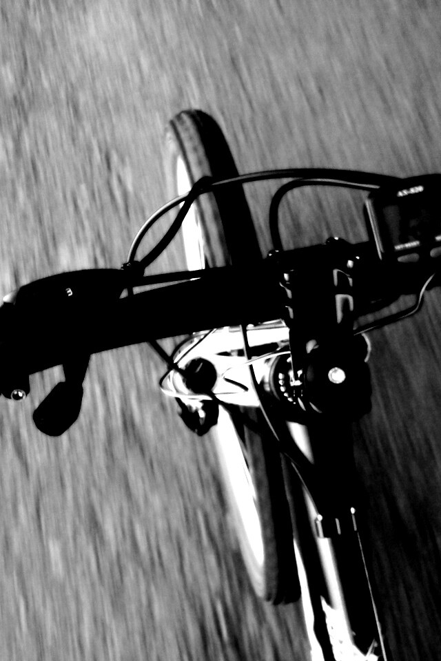 Катание на велосипеде обои