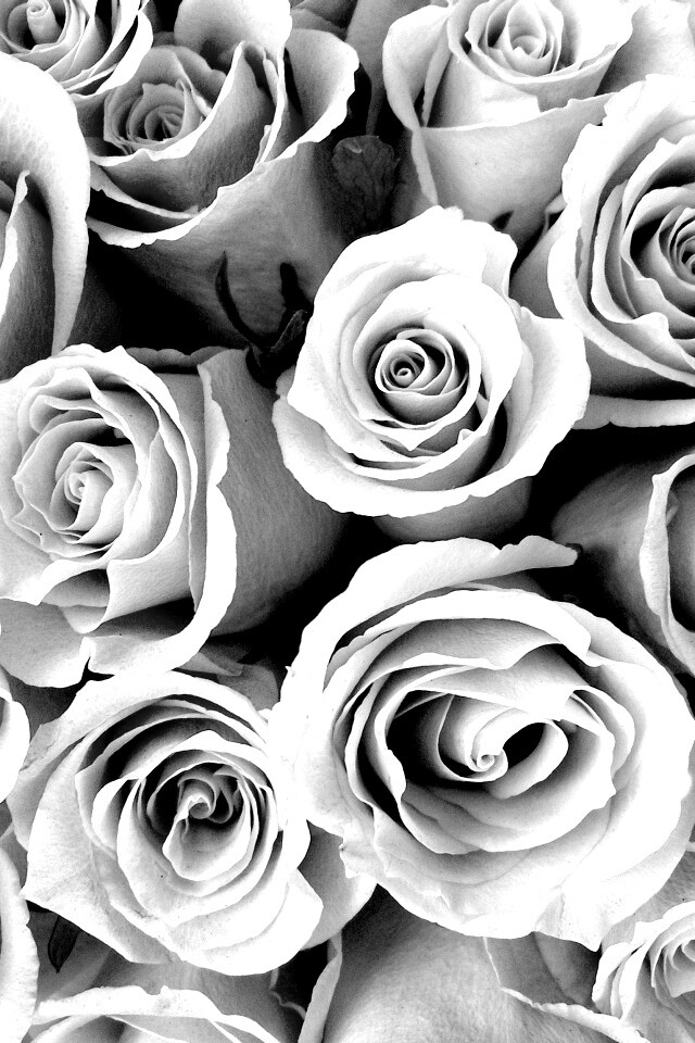 Букет роз обои