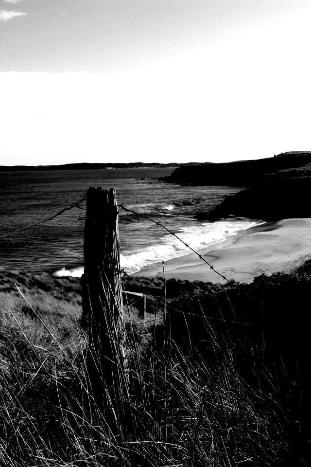 Пляж на озере обои