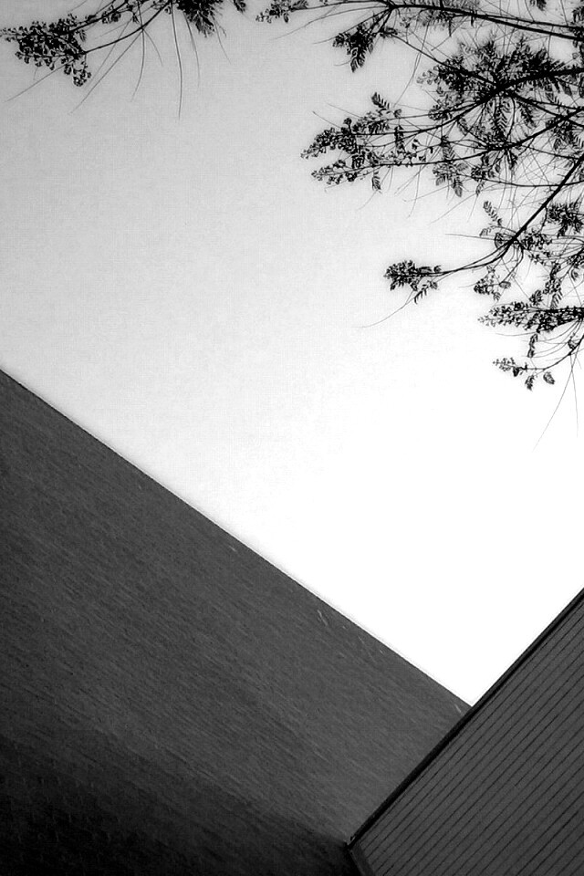 Закругленная стена обои