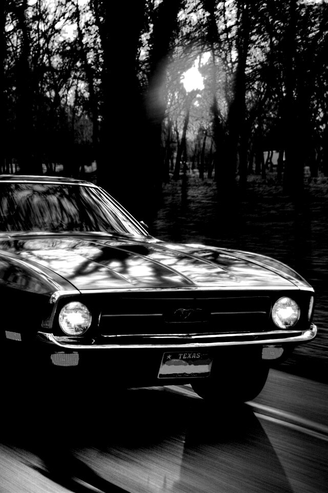 Мустанг обои