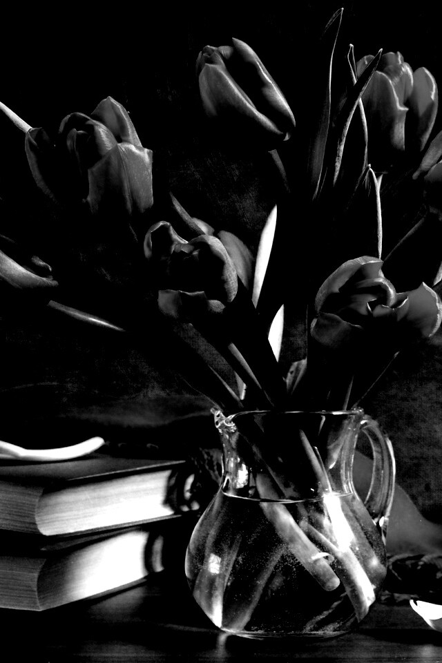 Букет красных тюльпанов обои