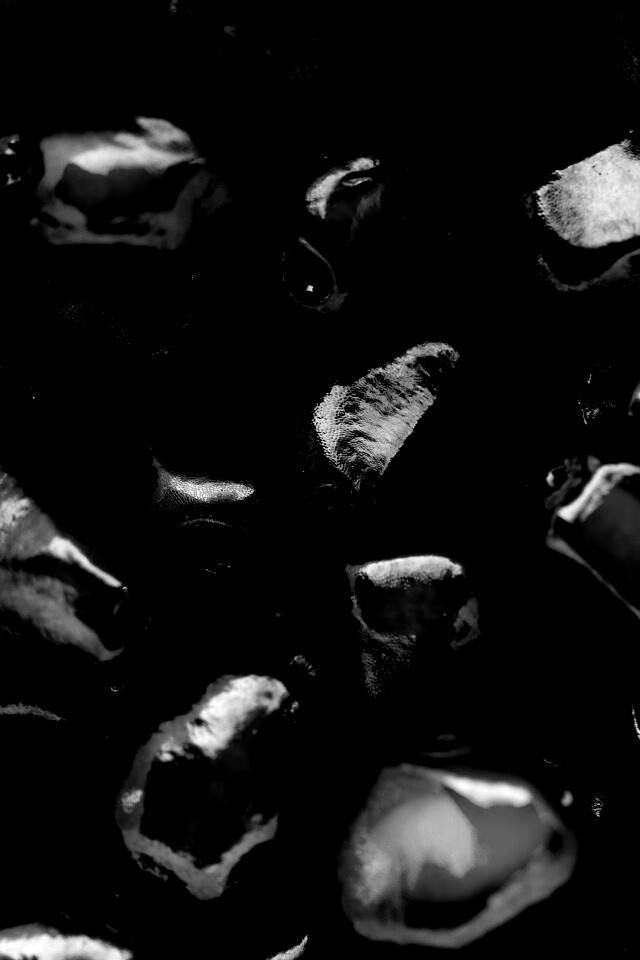 Ядра граната обои