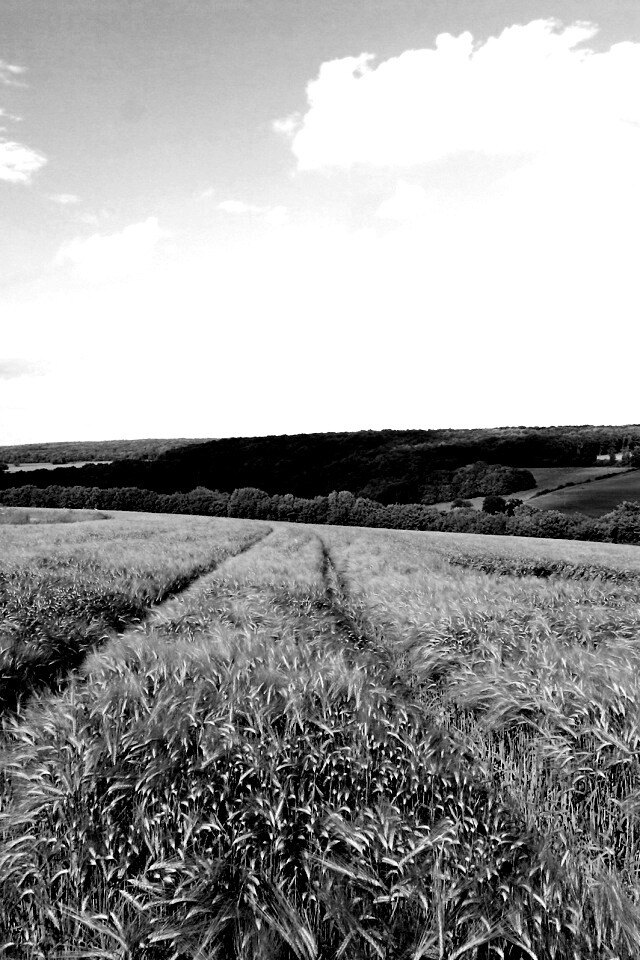 Бескрайние просторы обои