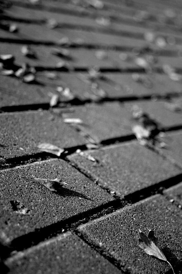 Тротуар обои