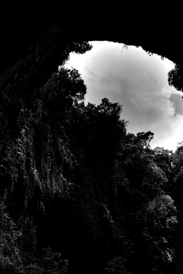 Заросшее ущелье обои