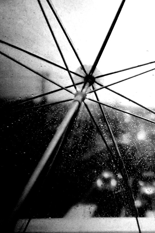 Вид сквозь прозрачный зонтик обои