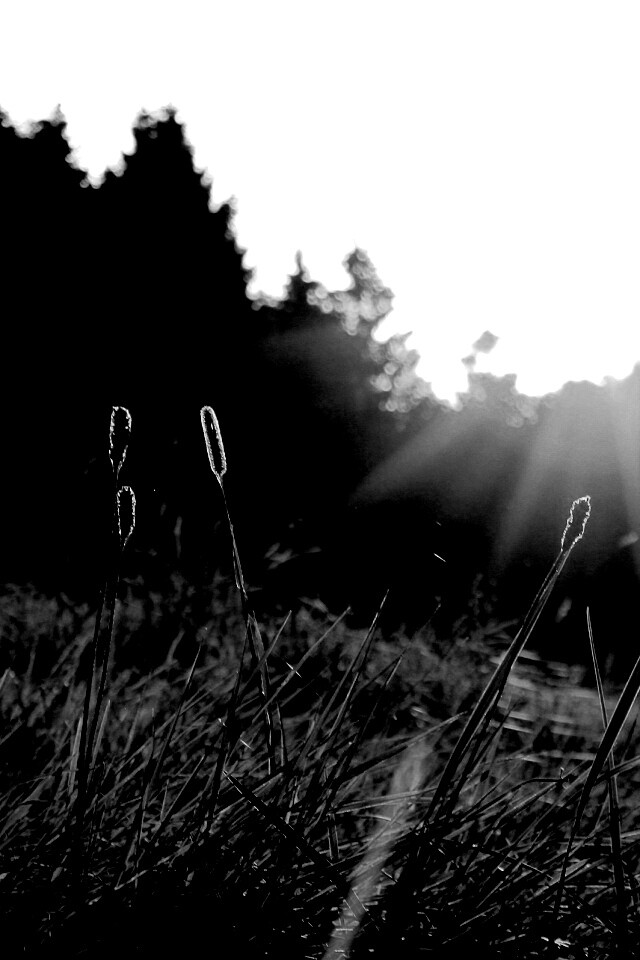 Красота природы обои