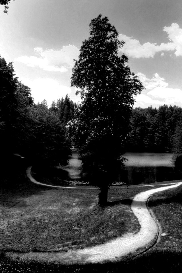 Прекрасная природа обои