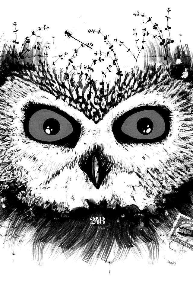 Обои сова для mac book обои