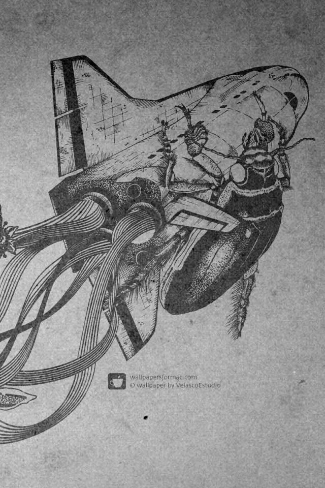 Абстракции для Apple обои