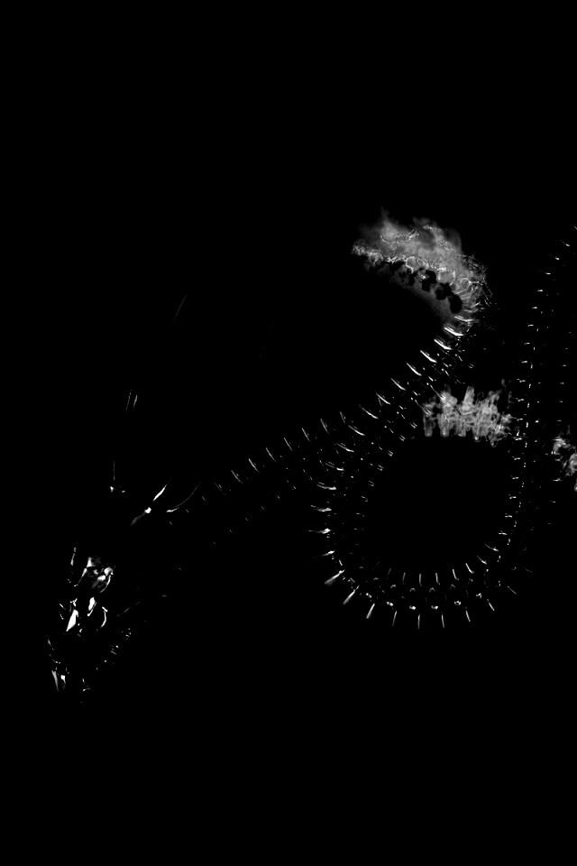 Скелет дракона обои