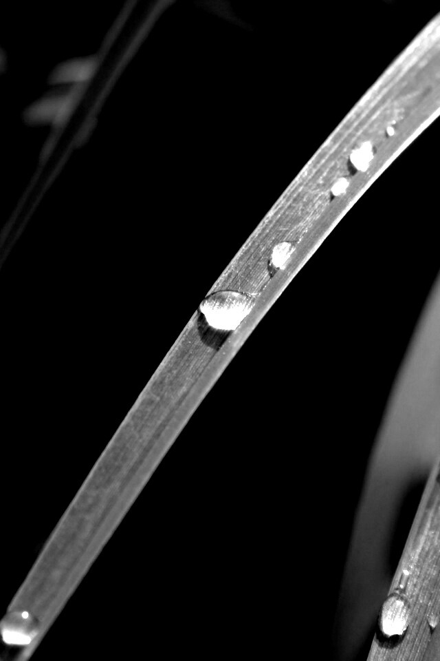 Капли росы на траве обои