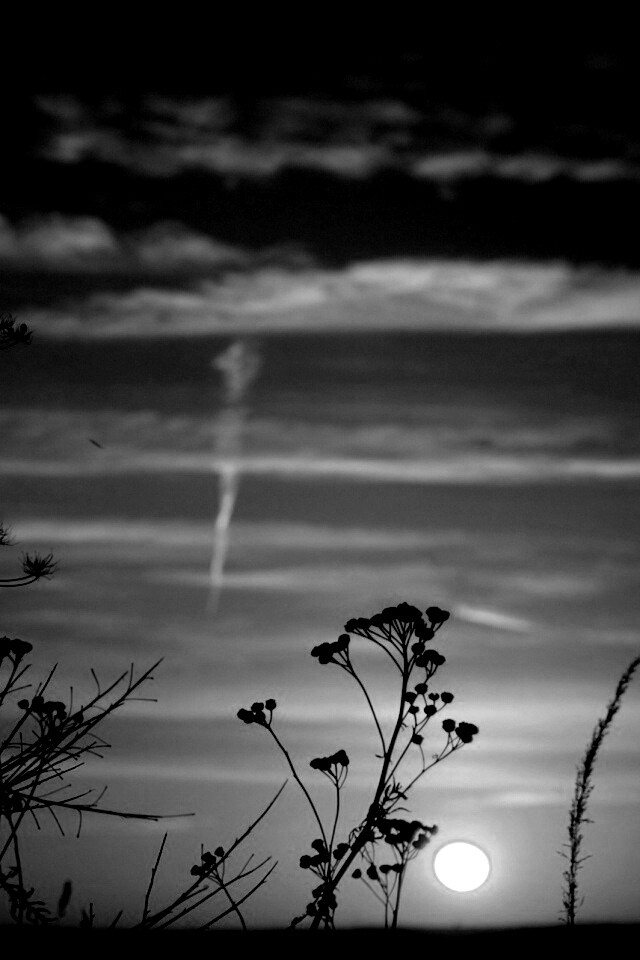 Степной закат обои