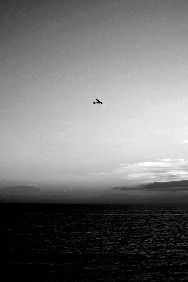 Паращий над морем обои