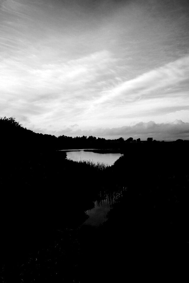 Канава и пруд обои