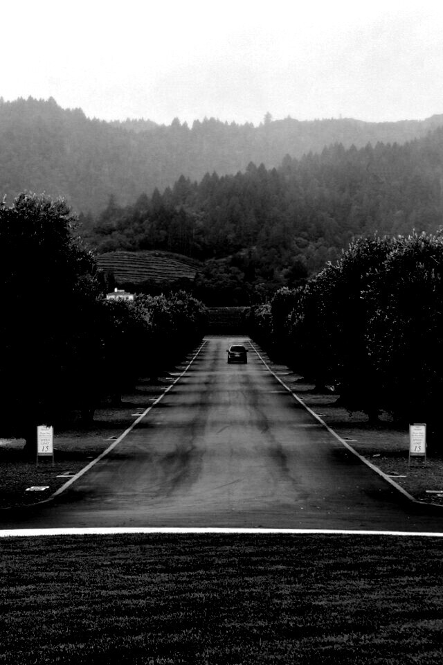 Сельский пейзаж обои