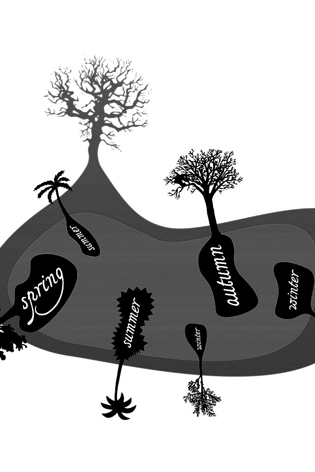Деревья времен года обои