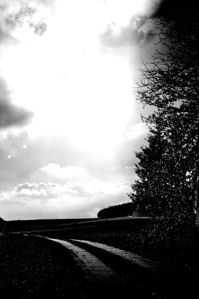 Солнечные холмы обои