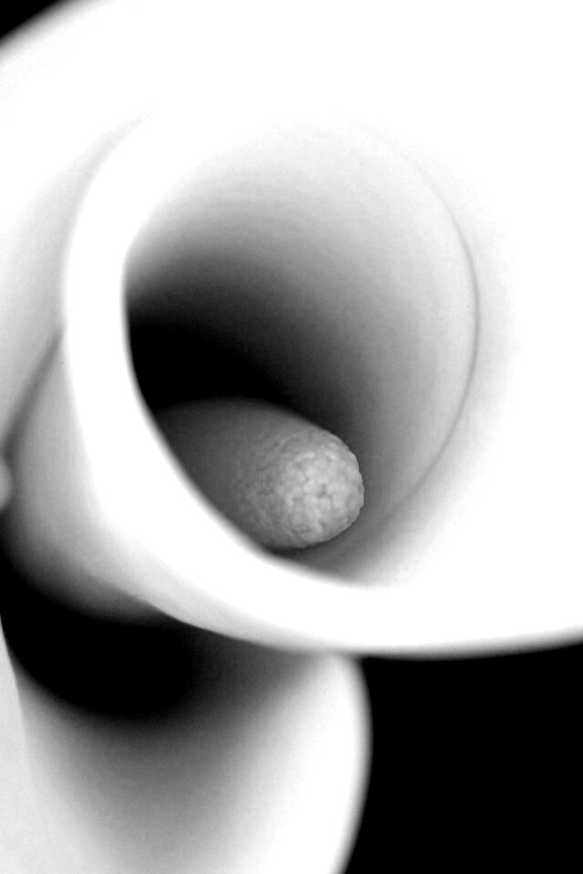 Спираль обои