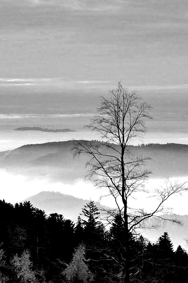 Холмы в тумане обои