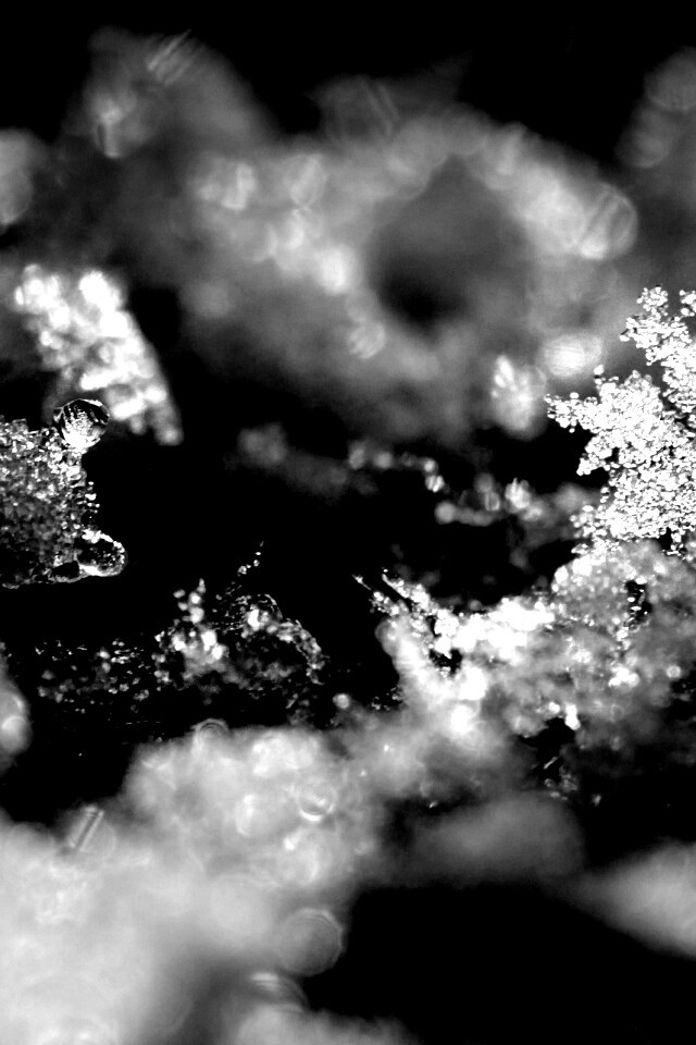 Макро фото снега обои