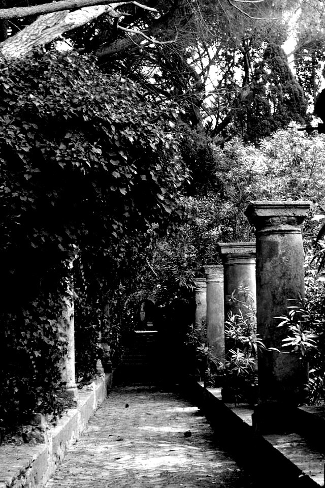 Галерея зимнего сада обои