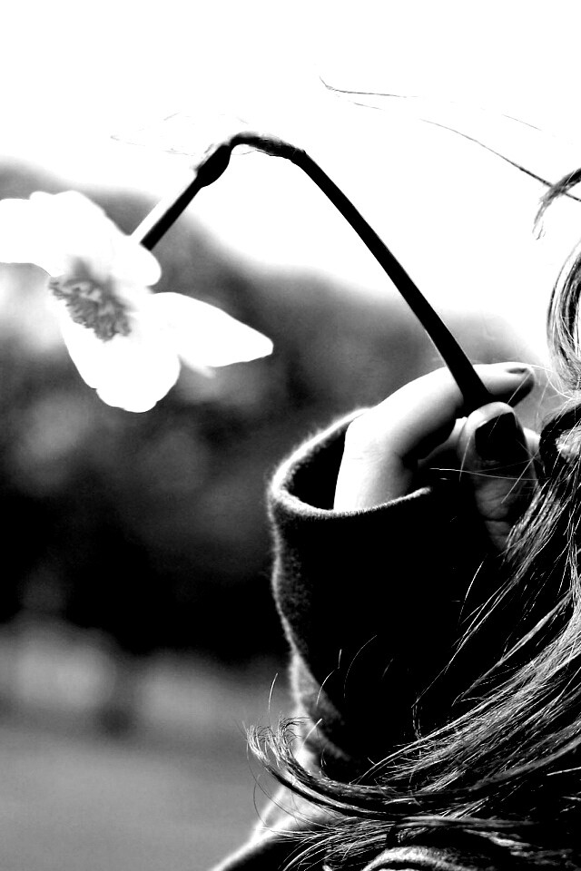 Девушка с нарциссом в руке обои