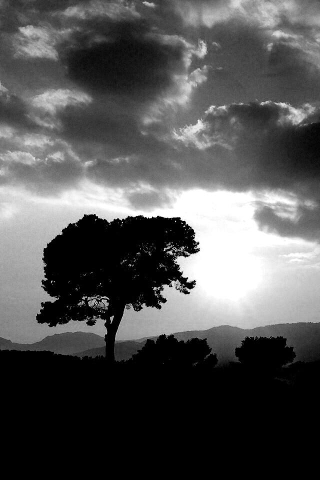 Закат над холмами обои