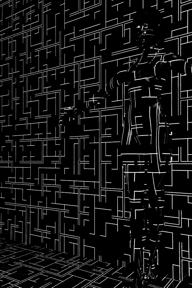 Невидимка обои