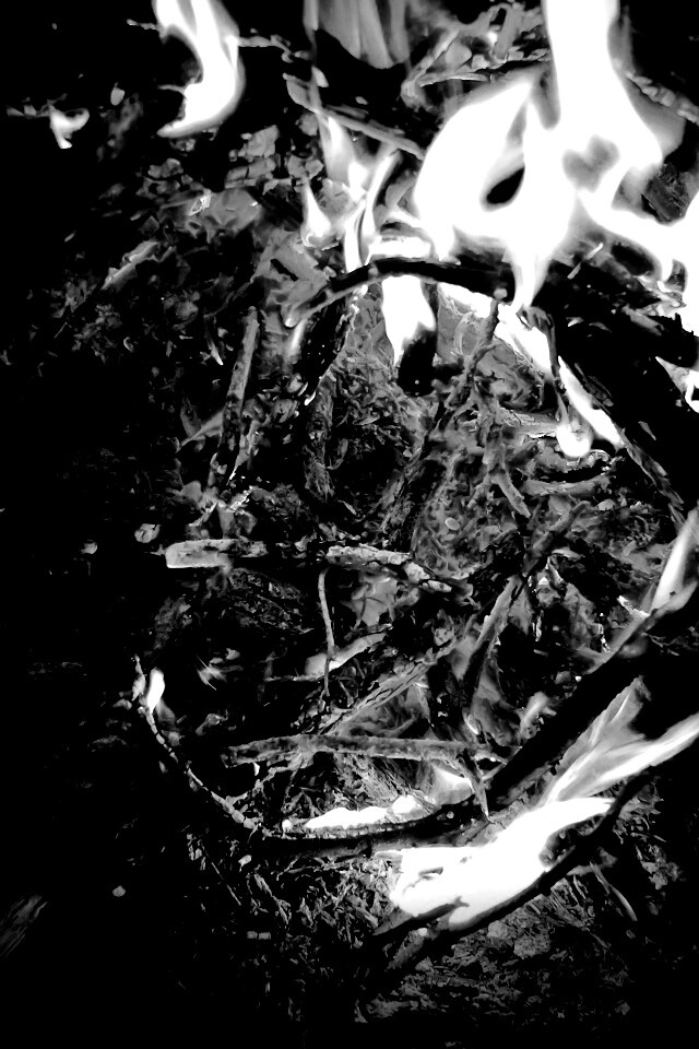 Костёр крупным планом обои