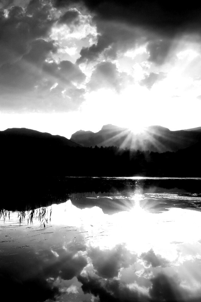 Закат за лесом обои