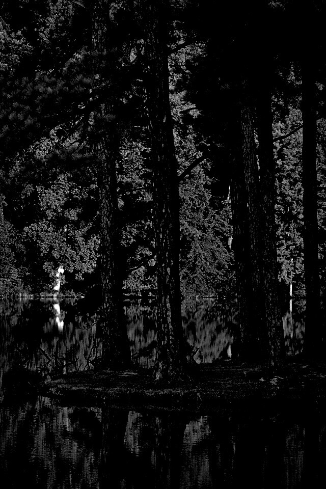 Островок посреди озера обои