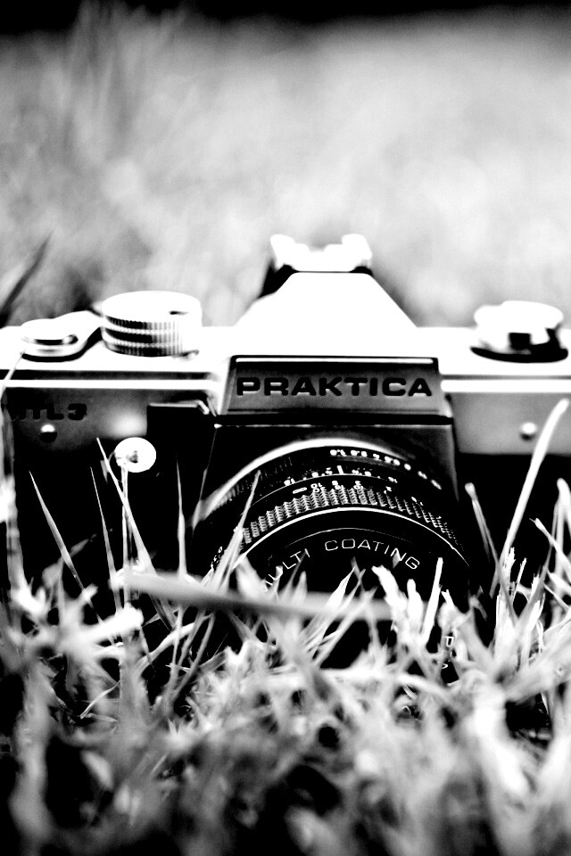 Фотоаппарат Praktica в траве обои