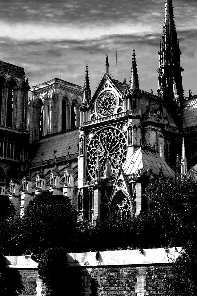 Собор парижской Богоматери обои