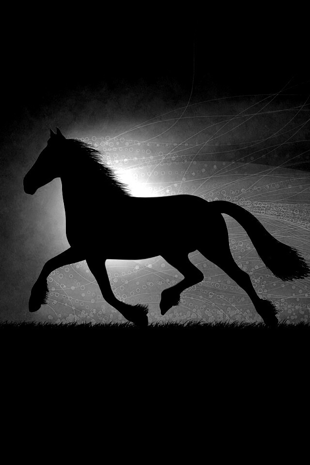 Силует коня на закате обои