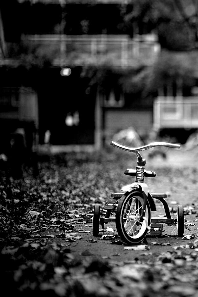 Трёхколёсный друг на осенней дорожке обои