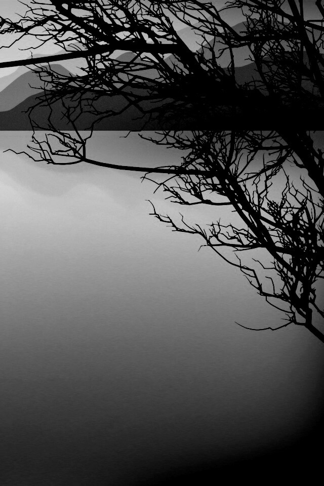 Ветка над вечерним озером обои