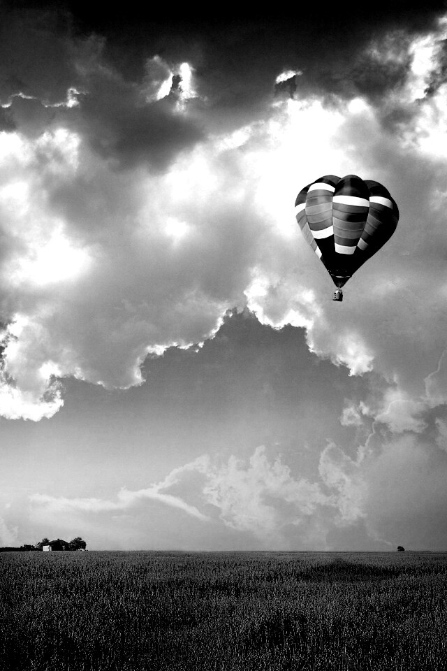 Воздушный шар над зеленым лугом обои