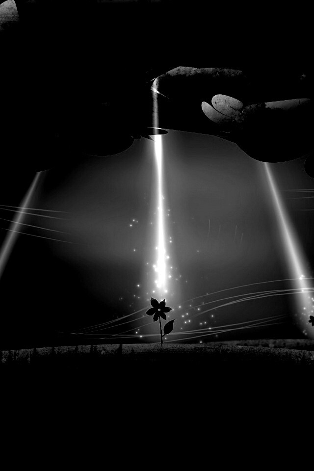 Свет для цветов обои