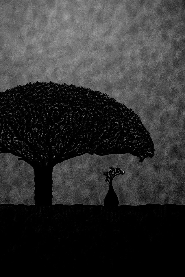 Нарисованное деревце обои