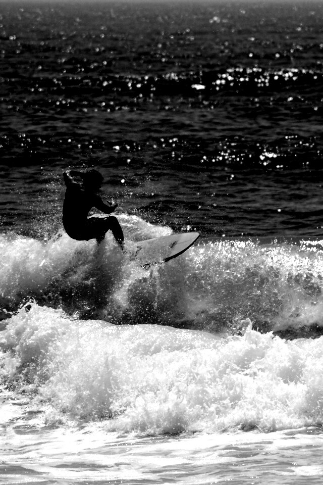 Сёрфенгист поймал волну обои