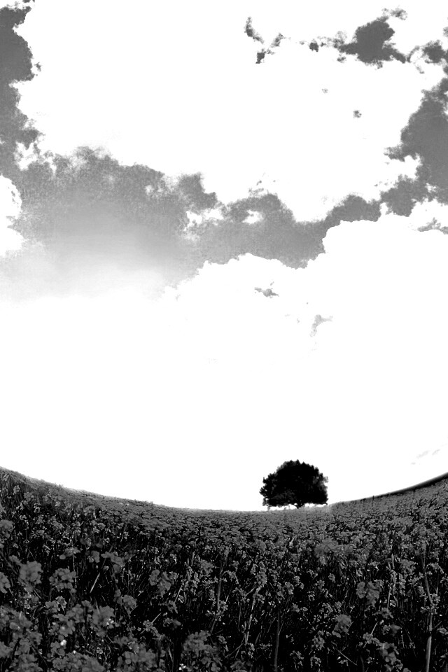 Искаженный мир обои