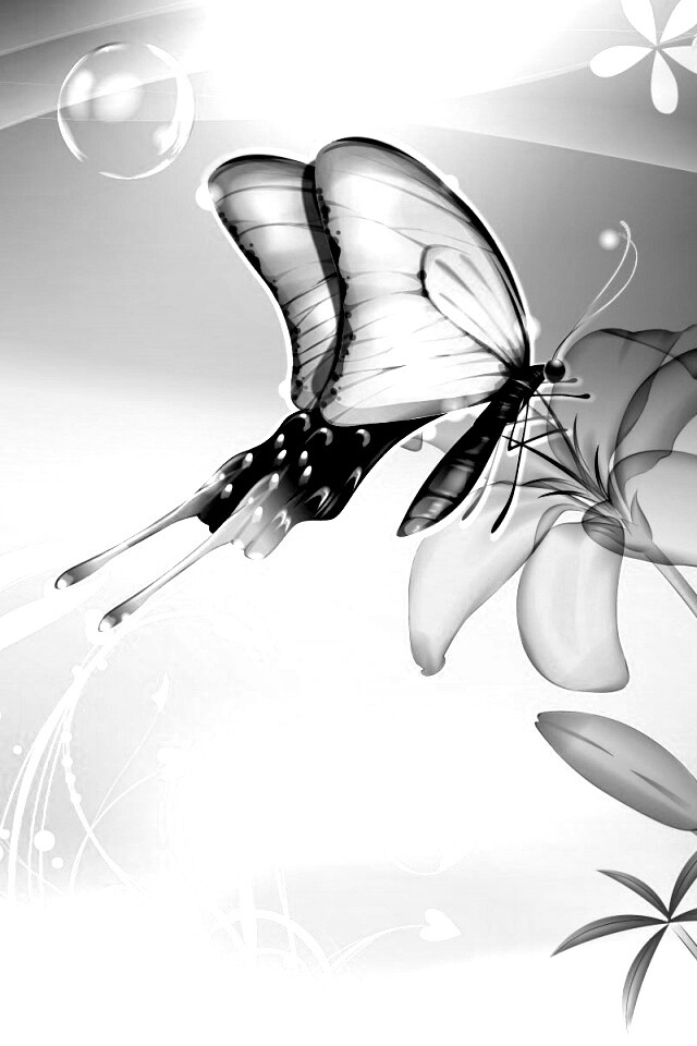 Сказочная бабочка обои