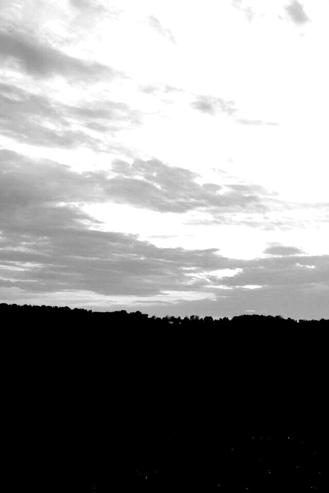 Дорога к лесу обои