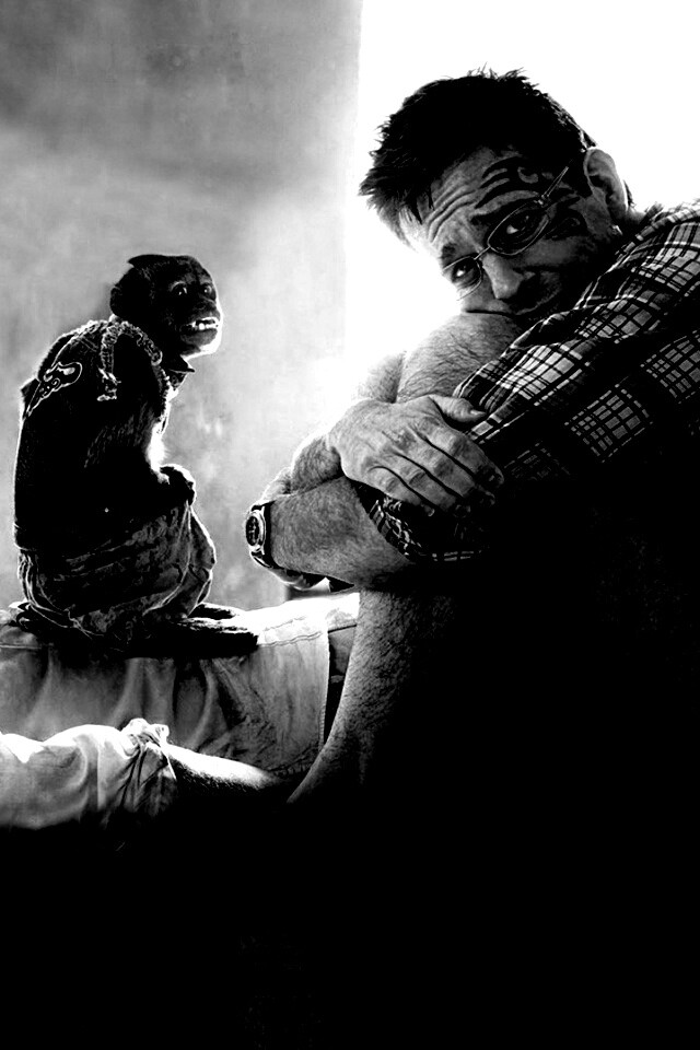 Мальчишник 2 из Вегаса в Банкок обои