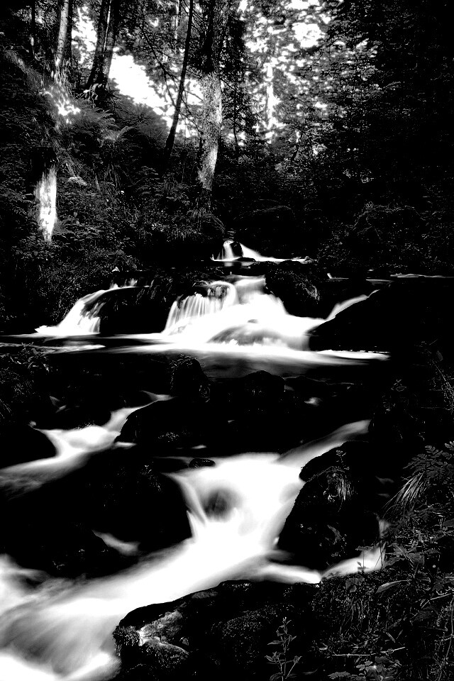 Живописный лесной водопад обои