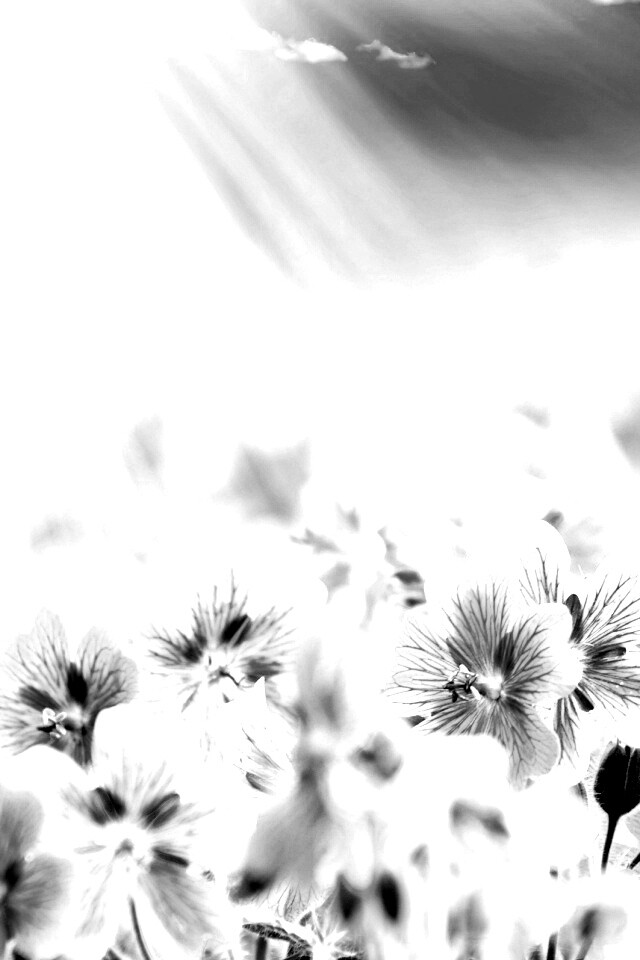 Цветочки обои