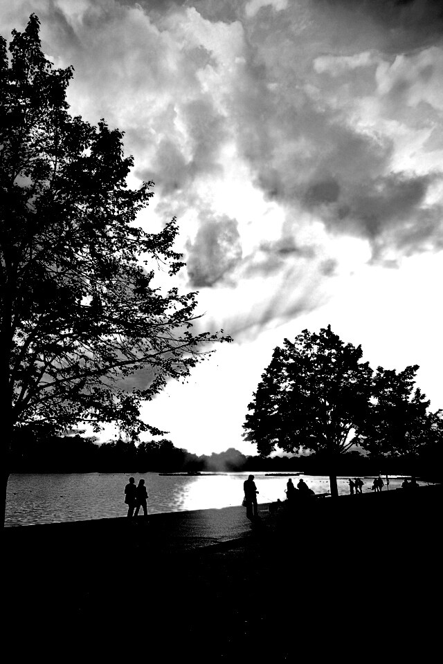 Природа обои