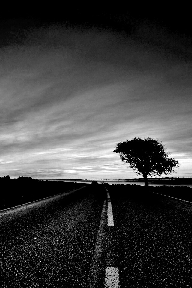 Дорога обои